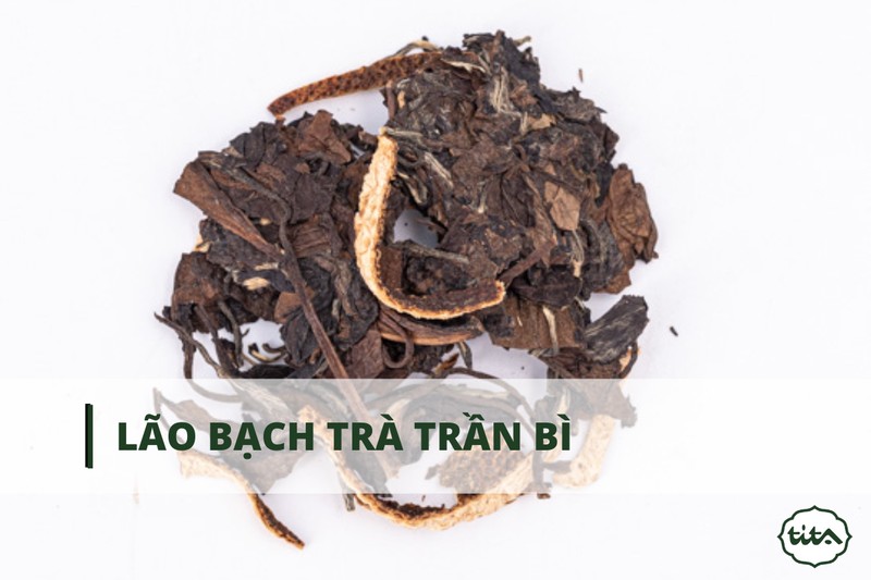 giới thiệu về lão bạch trà trần bì