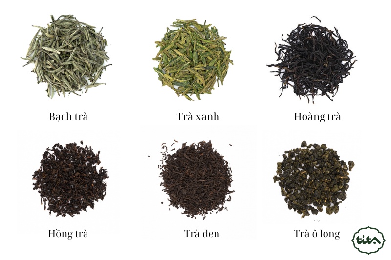 các loại trà phổ biến