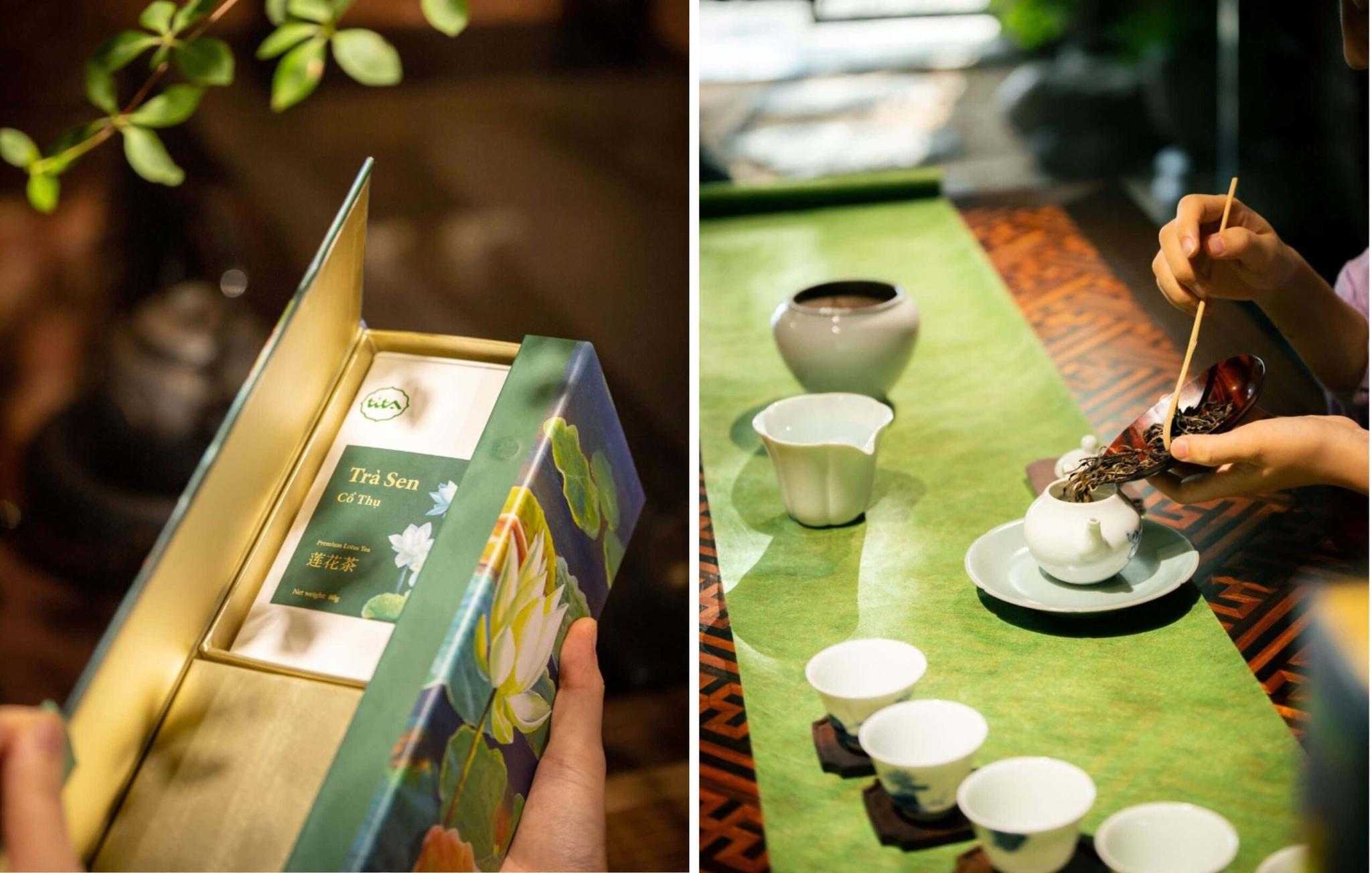trà sen hồ tây tita art