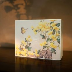 Set quà tặng trà sen cao cấp