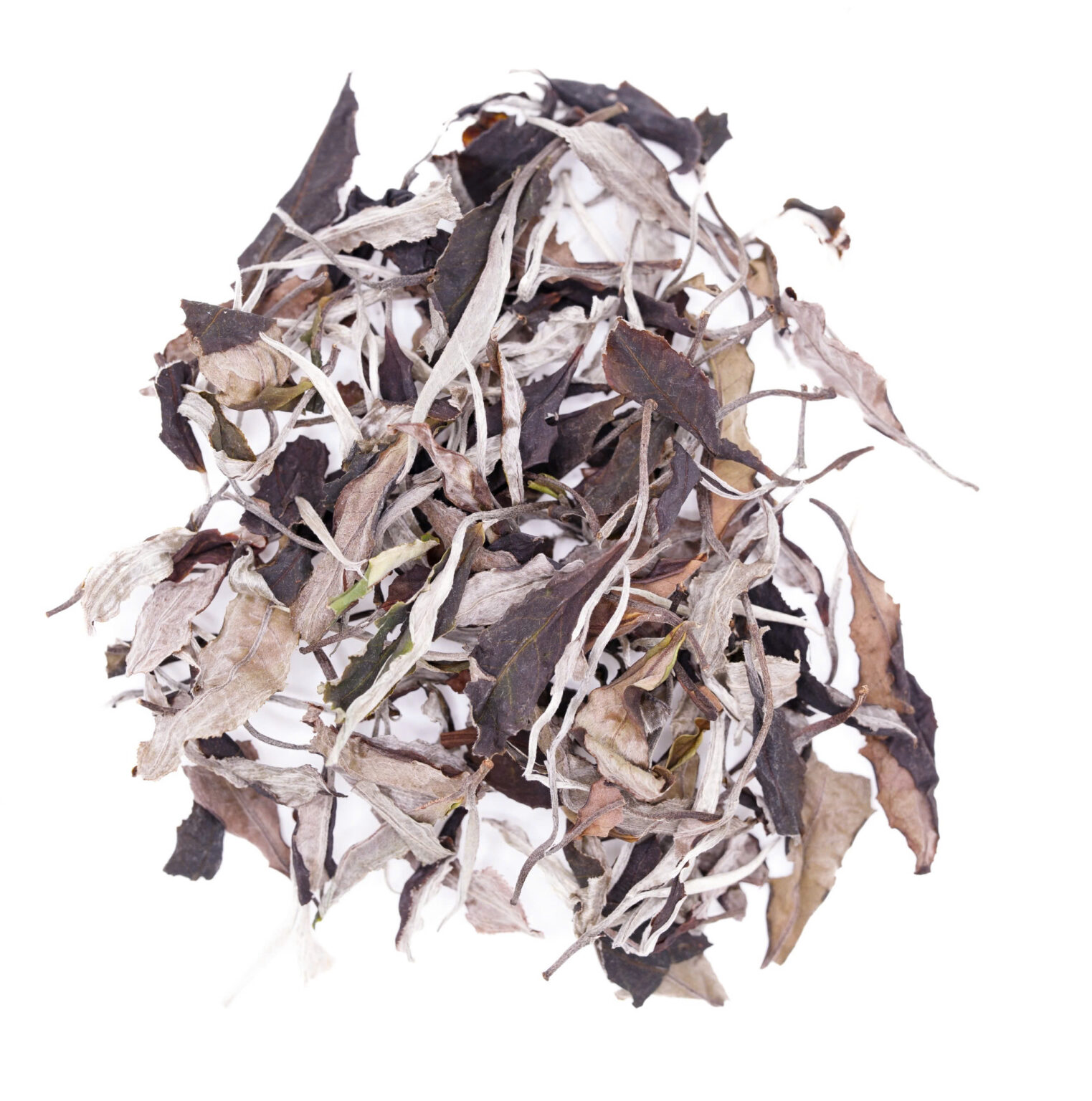 a11dd7331ae0afbef6f13-1523x1536
